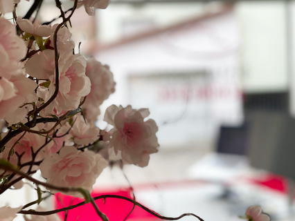 Detailaufnahme Trauerblumen in Bestatter Filiale in Schwaigern